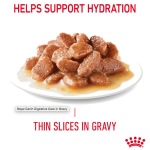 Թաց կեր զգայուն մարսողություն ունեցող կատուների համար — Royal Canin Digest Sensitive Gravy | 10×85 գ