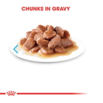 Թաց կեր մեծահասակ կատուների համար — Royal Canin Instinctive Gravy | 10×85 գ