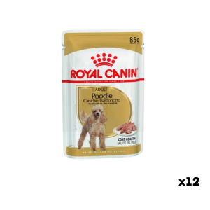 Թաց կեր պուդել ցեղի շների համար (85 գ × 12 հատ) Royal Canin Poodle Adult Coat Health