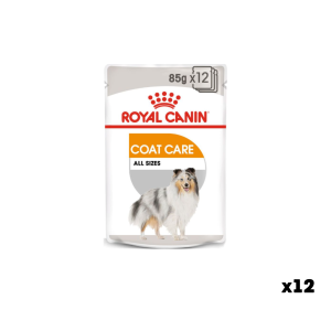 Royal Canin Coat Care All Sizes – влажный корм для взрослых собак всех пород (85 г × 12 шт)