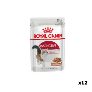 Wet food for adult cats — Royal Canin Instinctive Gravy | 10×85 g