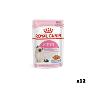 Royal Canin Kitten Jelly | Wet food for kittens | 85 g (pack of 10)