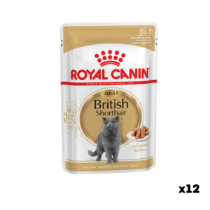 Royal Canin British Shorthair Gravy wet food for cats, 85 g (10 pcs)