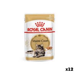 Royal Canin Maine Coon Adult Gravy wet food for Maine Coon cats, 85 g (10 pcs)