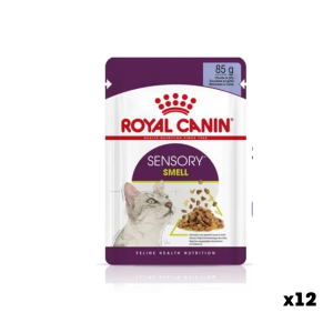 Royal Canin Sensory Smell Jelly 85 g (10 pcs)