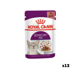 Թաց կեր մեծահասակ կատուների համար Royal Canin Sensory Feel in Gravy 85 գ (12հատ)