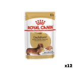 Թաց կեր թաքսա ցեղի մեծահասակ շների համար (85 գ × 12 հատ) Royal Canin Dachshund Adult Joint & Bone Support