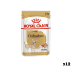 Royal Canin Chihuahua Adult Coat Health Wet food for adult Chihuahuas (85 g × 12 pcs)